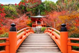 Préparer son voyage au Japon en 5 étapes